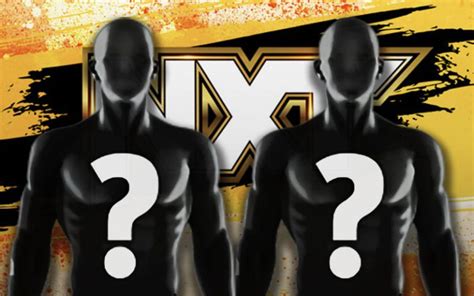 tylynn register wwe|Two WWE NXT Superstars Embrace New Identities